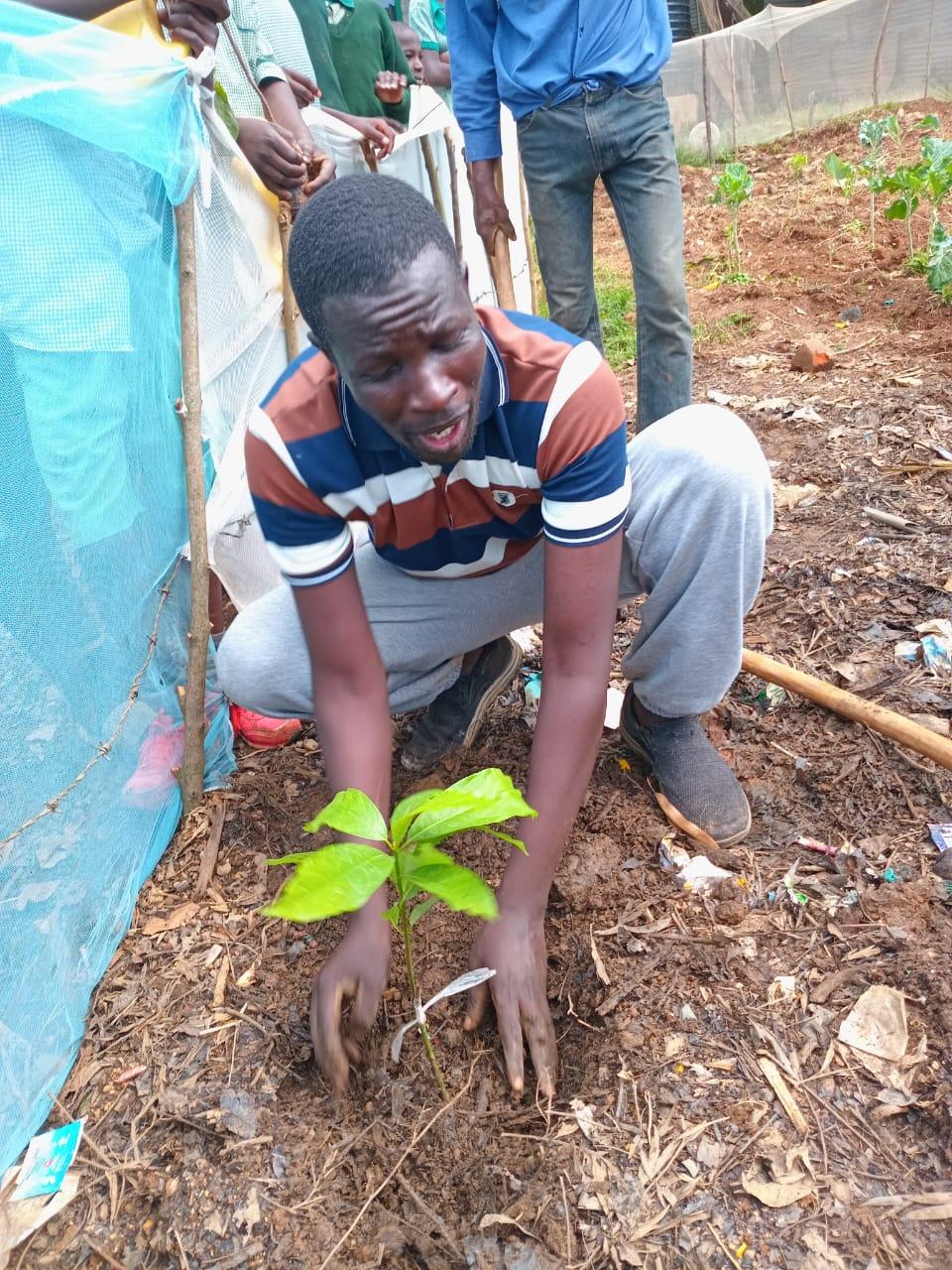 Waste management activity 7